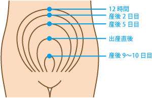 出産後のカラダの変化